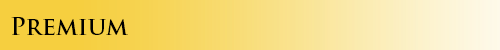 Premium.png.5c912c415621261bc337a3a4f6f35838.png