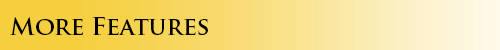 morefeatures.png.617e8d14d42baaaa18553289d1fbdcd1.png